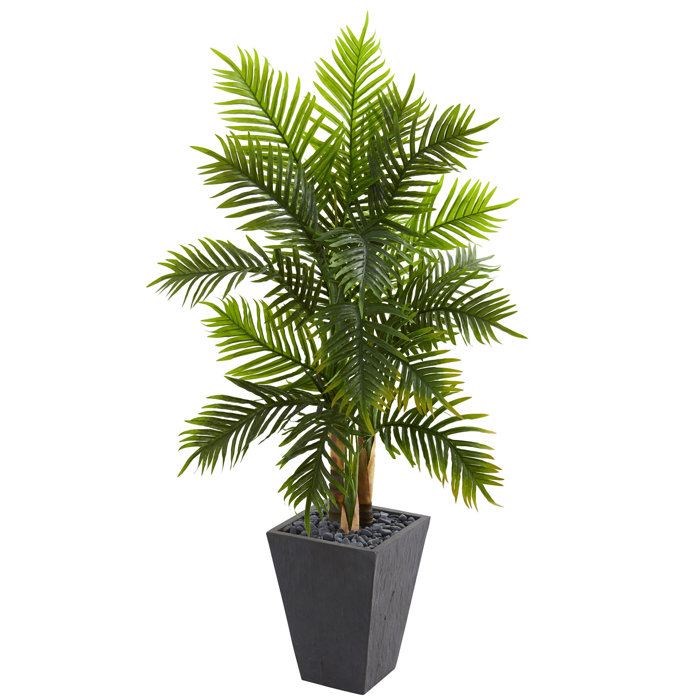 Bay Isle Home 66'' Artificial Palm Tree in Planter & Reviews Wayfair.ca